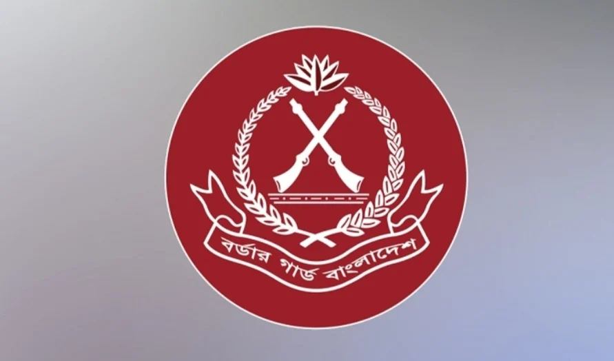 টেকনাফ সীমান্তে দুর্ধর্ষ অভিযান—গোলাগুলির ঘটনায় ২৯ কোটির ইয়াবা জব্দ