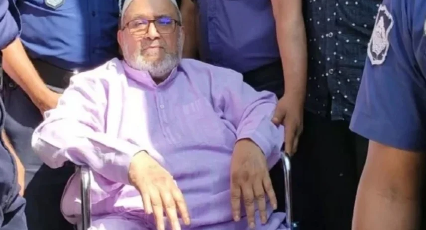 জামিনে কারামুক্ত হলেন দবিরুল ইসলাম