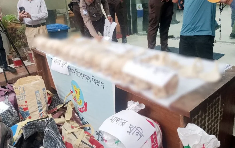 বিপুল মাথার খুলি ও হাড় জব্দ: অবৈধ কঙ্কাল ব্যবসায়ী দুই ডেন্টাল শিক্ষার্থী গ্রেপ্তার