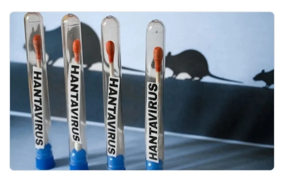 What is Hantavirus, and how serious is the risk of a pandemic?