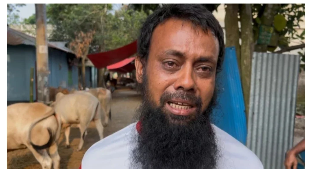 ফেনীতে র‍্যাব ক্যাম্পের পাশ থেকে অ”স্ত্রের মুখে গরু ছি’নতাই