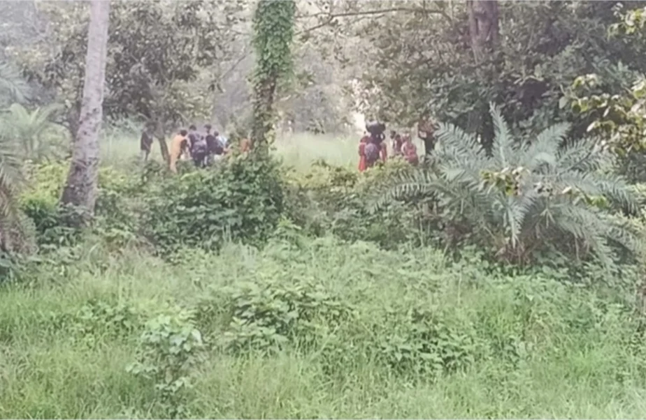 বিজিবির কড়া অবস্থানে ব্যর্থ পুশইন, ২৮ জনকে ভারতে ফিরিয়ে নিল বিএসএফ